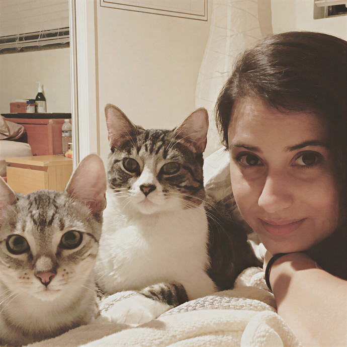 Oc Cat Care - Cat Sitting