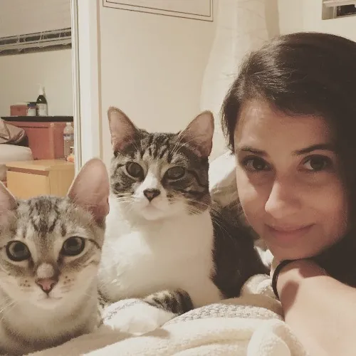 Oc Cat Care - Cat Sitting