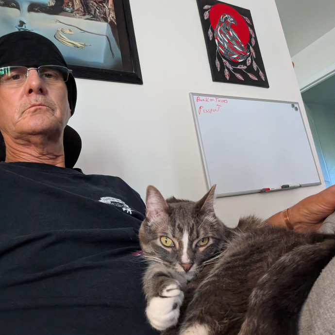 Nicholas A Colorado Springs Cat Sitter photo 2