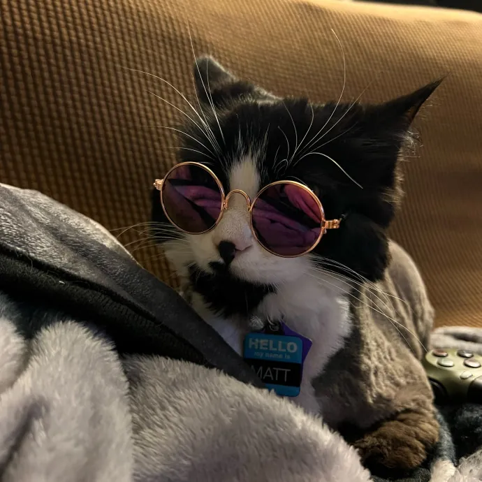 Jace's Pawsome Cat Care