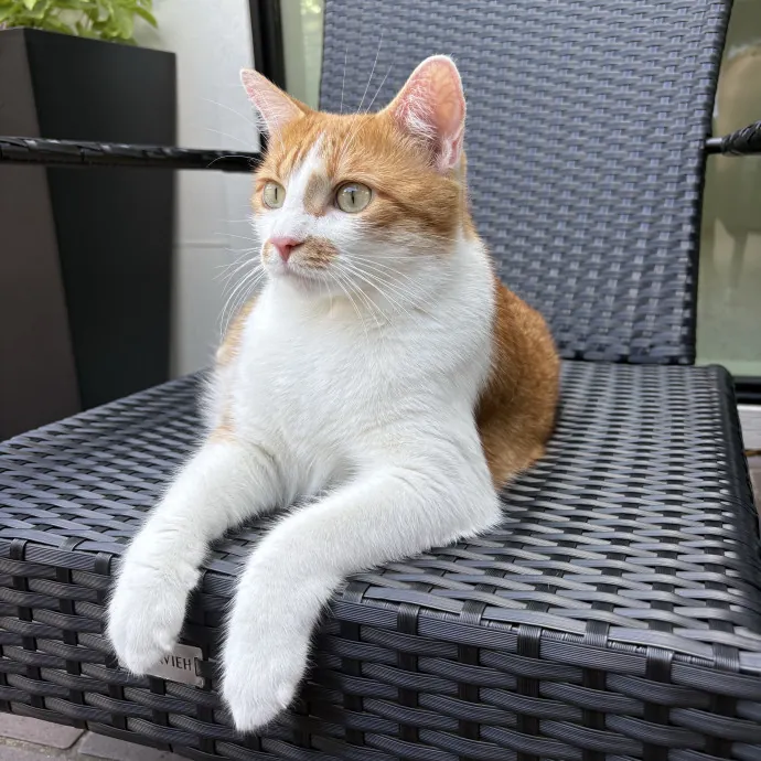 Lilian B.
