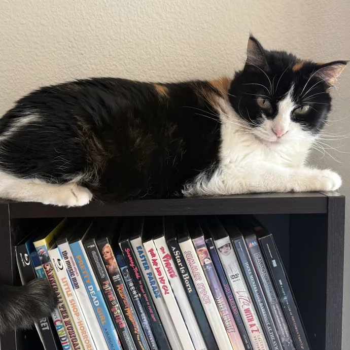 Orlando's Cat Whisperer