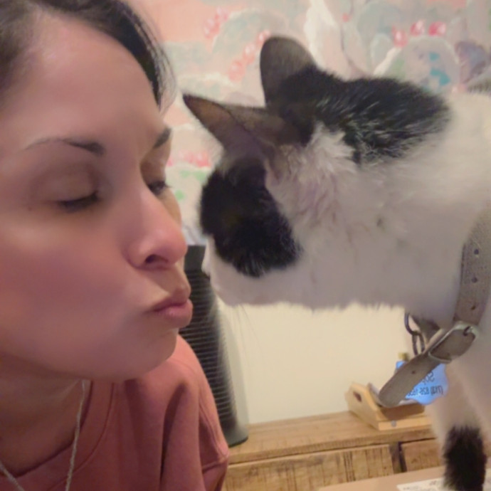 Jenn The Cat Sitter