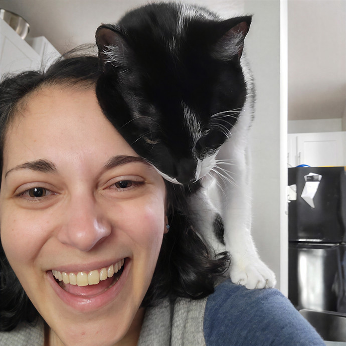 Purr Joy Cat Sitting In Fort Collins Co