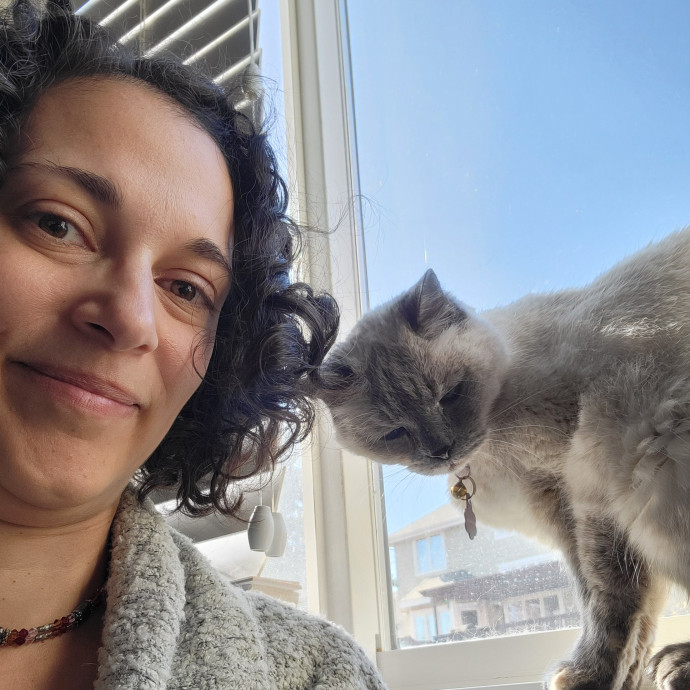 Purr Joy Cat Sitting In Fort Collins Co