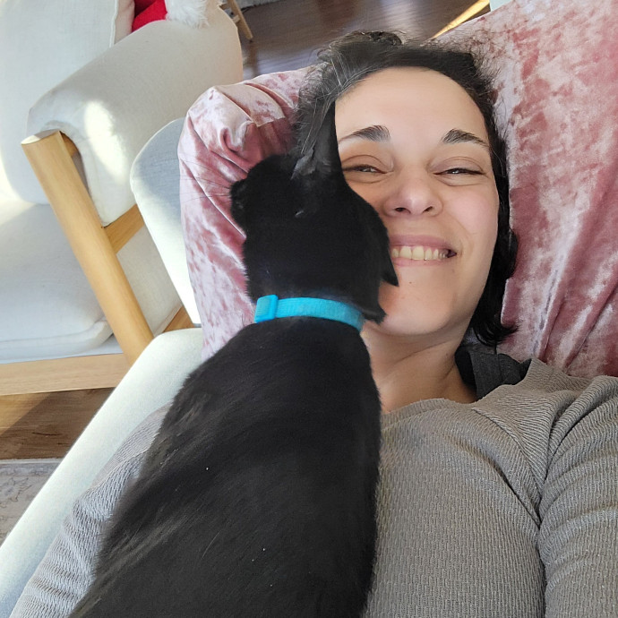 Purr Joy Cat Sitting In Fort Collins Co photo 3