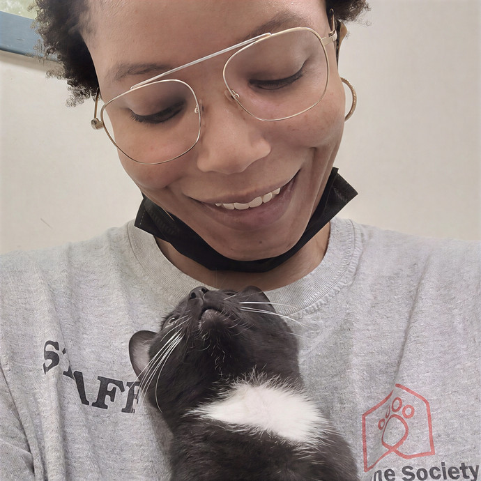 Paws In Westchester
