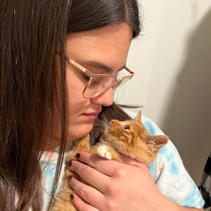 Casey's Cat Care