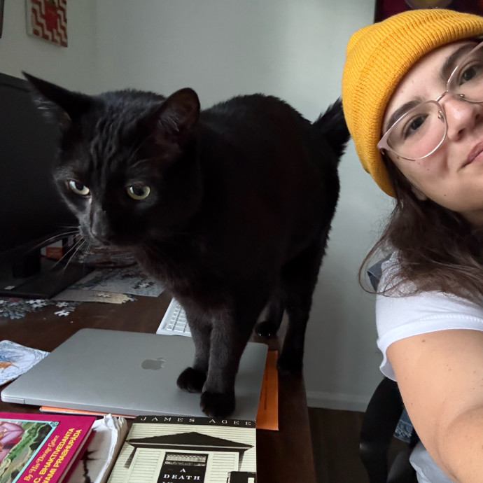 Casey's Cat Care photo 3
