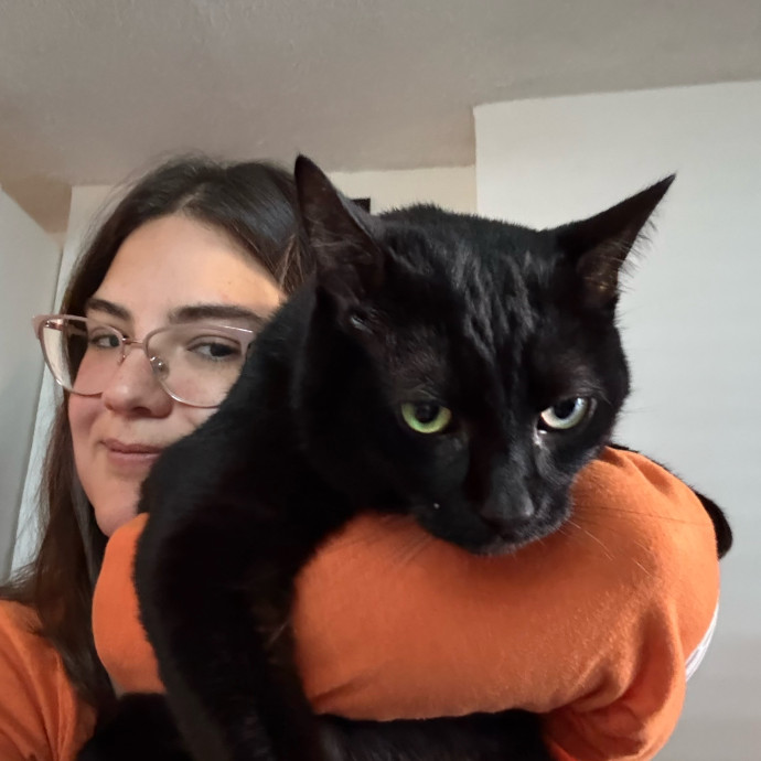 Casey's Cat Care photo 2