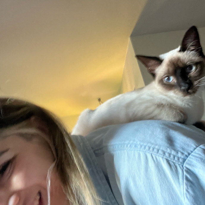 Your Best Friend's Best Friend