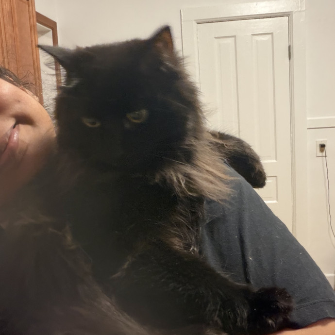 Cat Mama W Flexible Scheduling