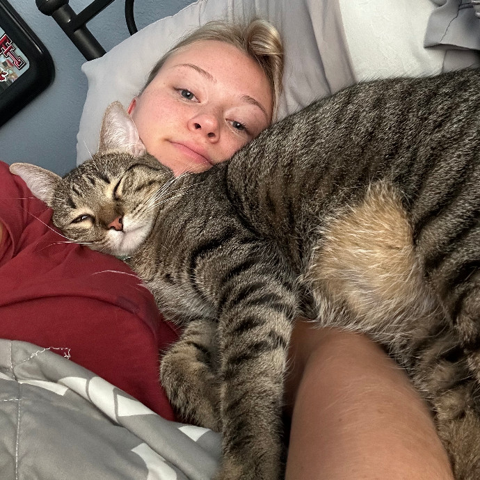 Lifelong Cat Lover And Trusted Sitter
