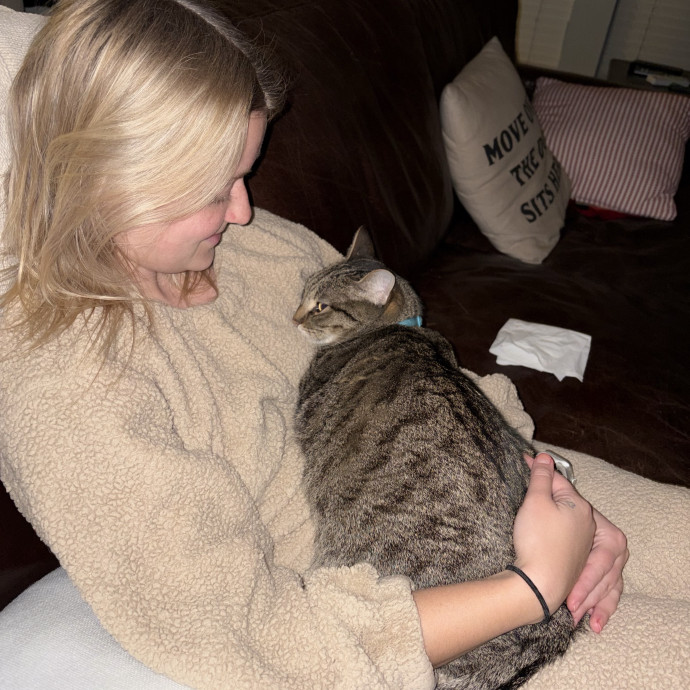 Lifelong Cat Lover And Trusted Sitter photo 2