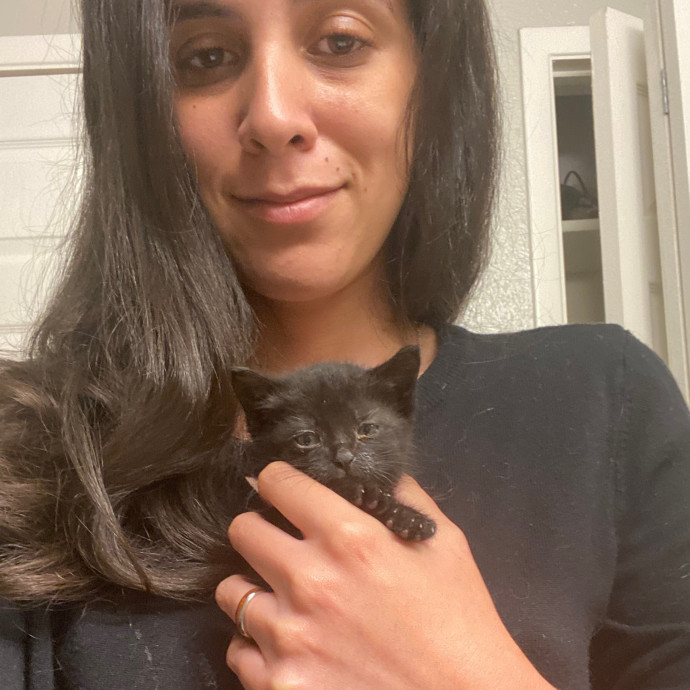 Ingrid The Puuurfect Cat Sitter