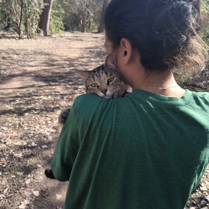Ingrid The Puuurfect Cat Sitter