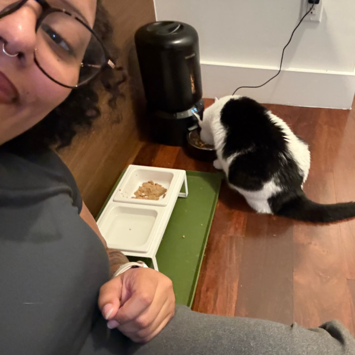 Purrfessional Cat Sitter  Cat Approved photo 2