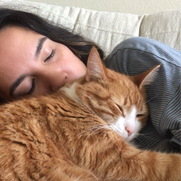Welcome Cat Lovers photo 3