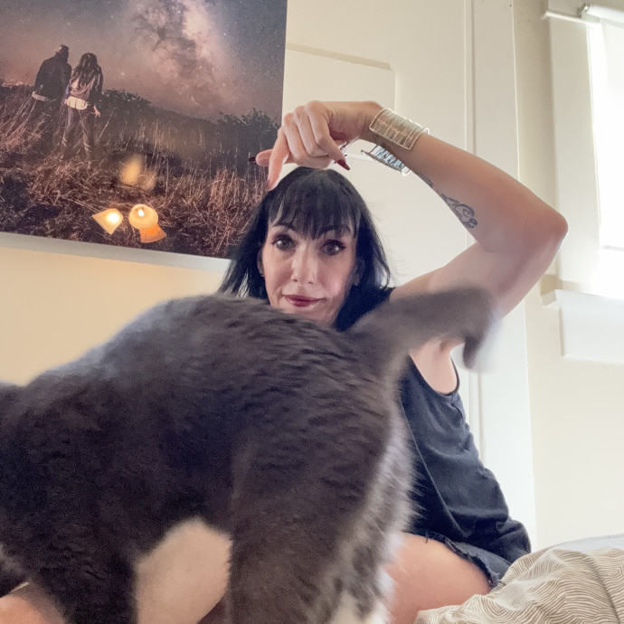 Gentle And Trustworthy Cat Care