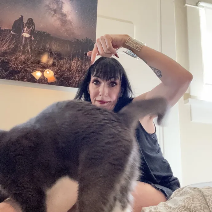 Gentle And Trustworthy Cat Care