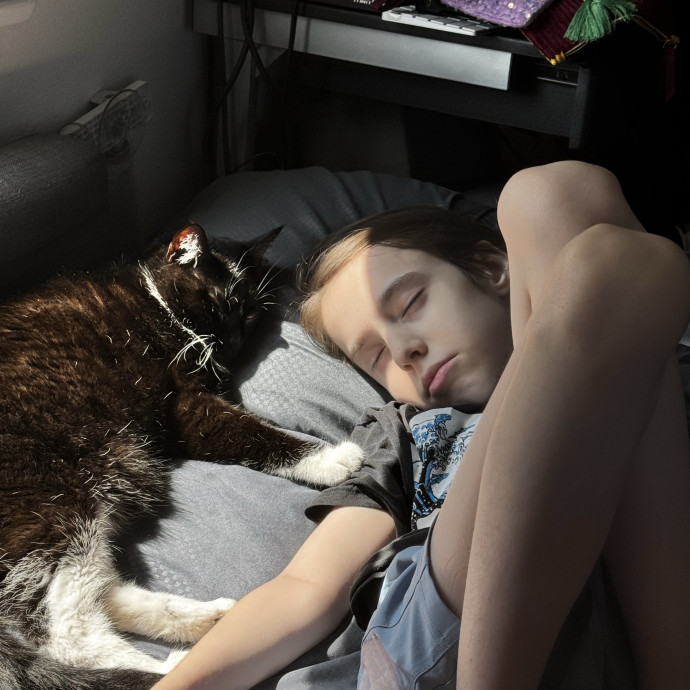 Gentle And Trustworthy Cat Care