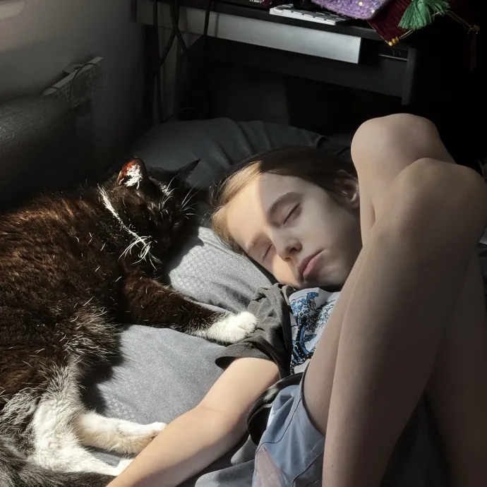 Gentle And Trustworthy Cat Care