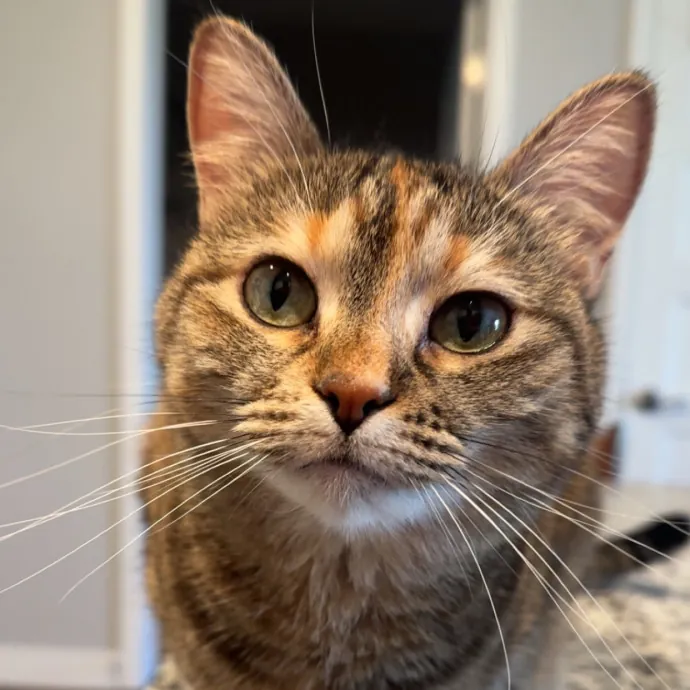 Annie C.