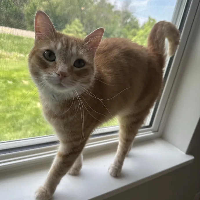 Annie C.