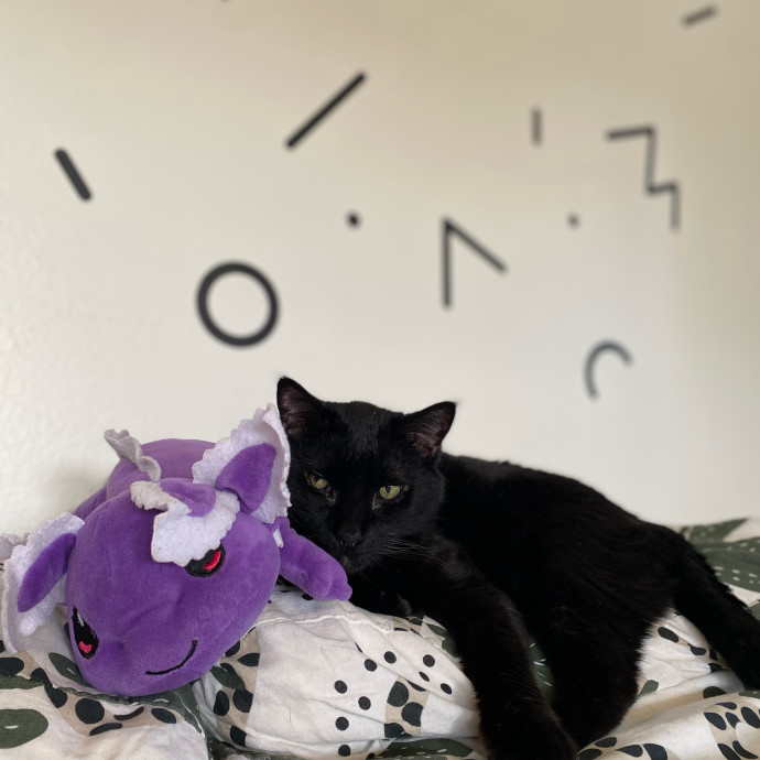 Shy Kitty Safe Haven With Nicole