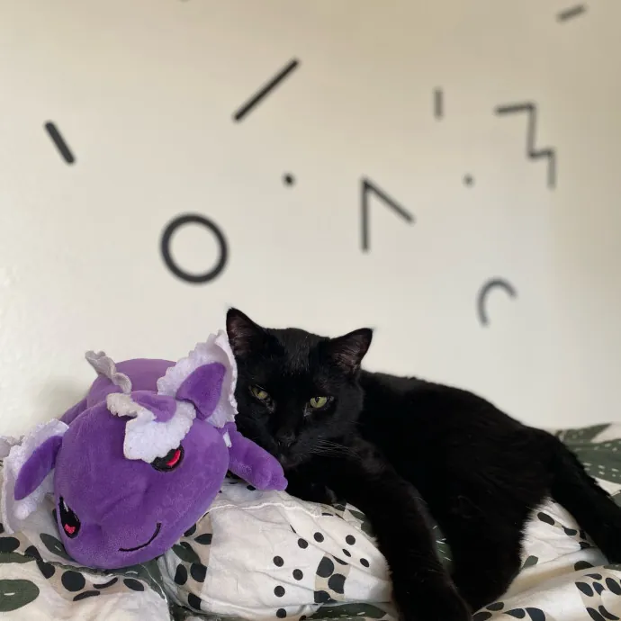 Shy Kitty Safe Haven With Nicole