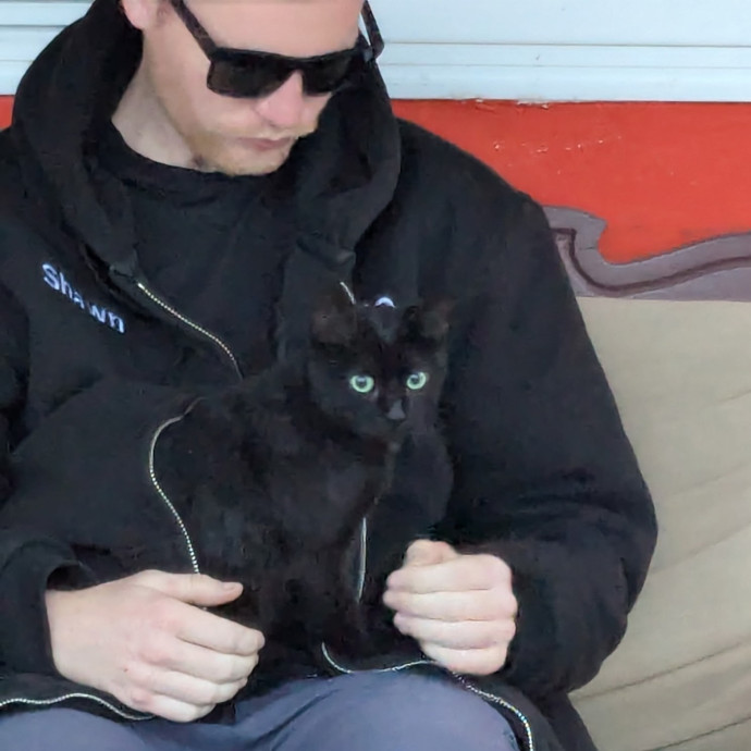 I Just Want To Play With Cats Tbh