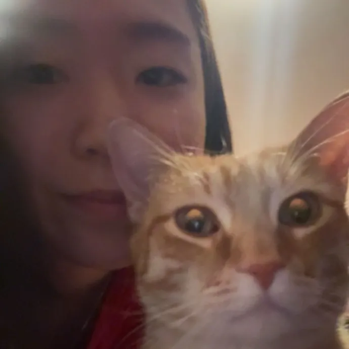 Mom Of A Silly Orange Tabby