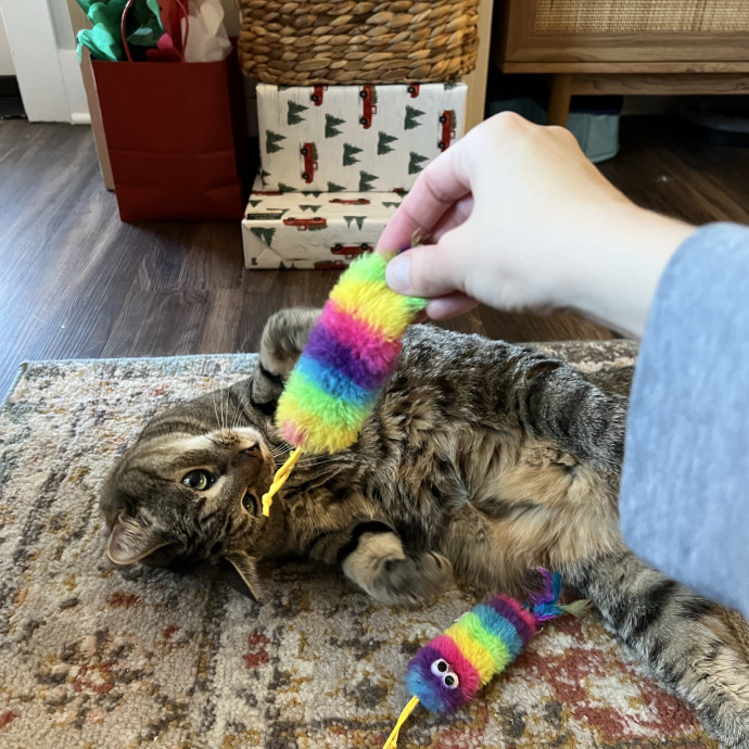 Trustworthy Feline Friend
