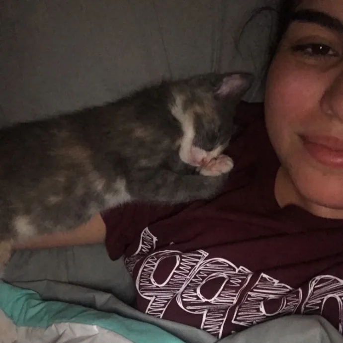 Alexandria The Purr-Fect Cat Sitter