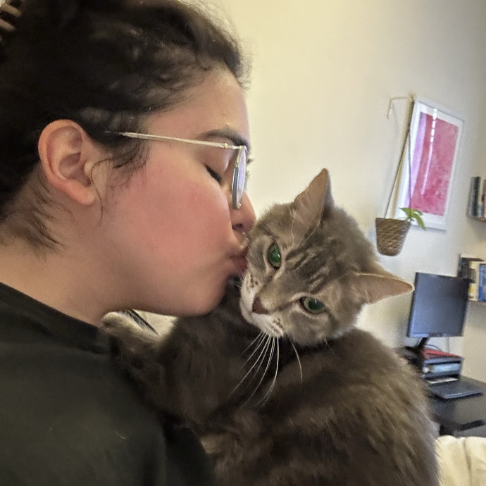 Alex The Purr-Fect Cat Sitter photo 2
