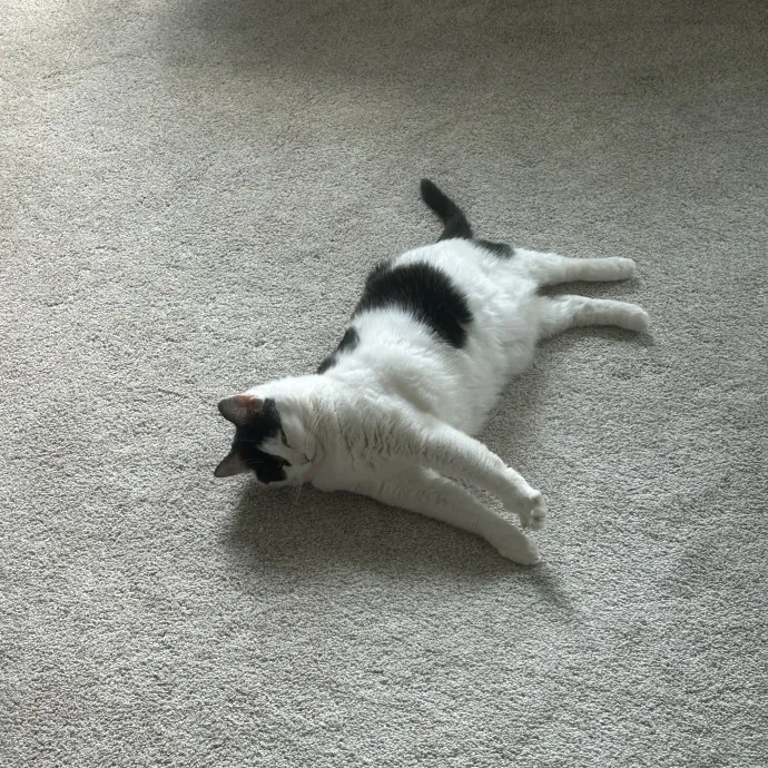 Kata B.
