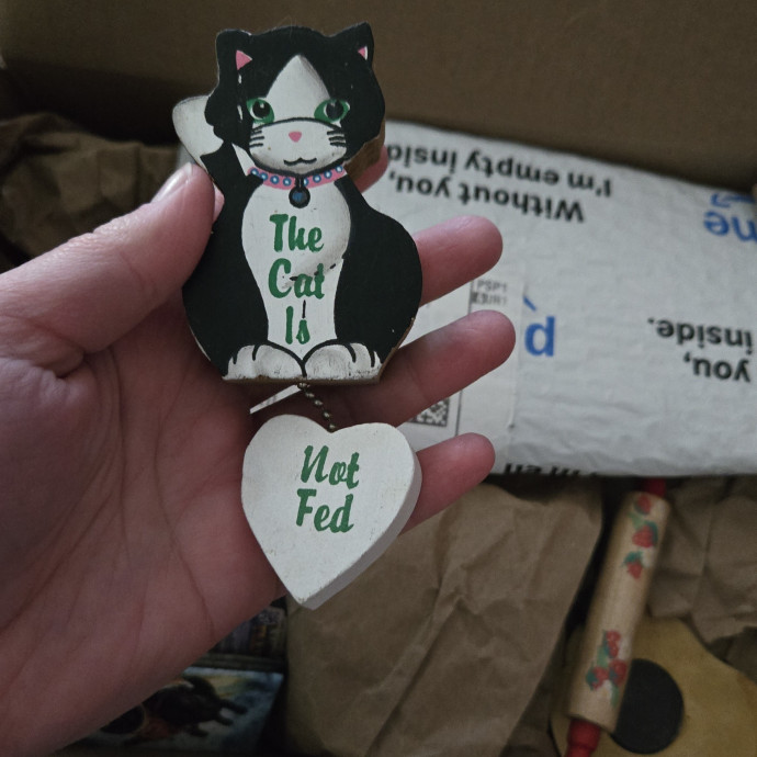Soft  Skilled- Sensitive Cats Welcome