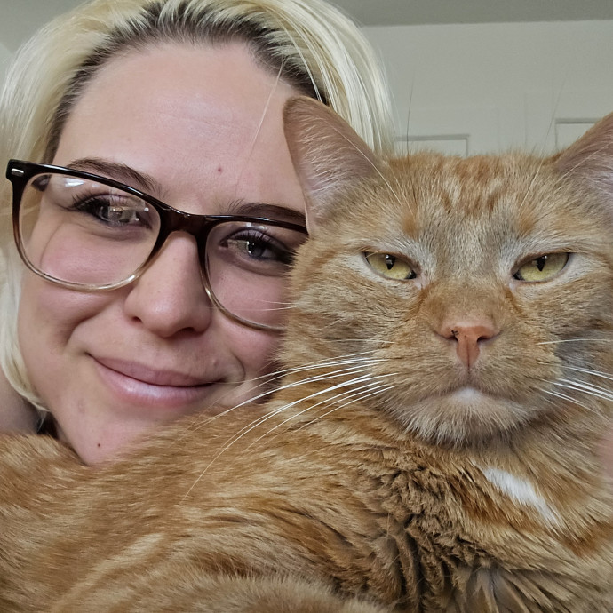 Soft  Skilled- Sensitive Cats Welcome