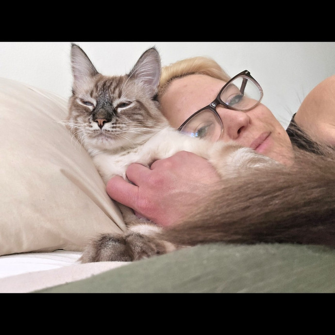 Soft  Skilled- Sensitive Cats Welcome