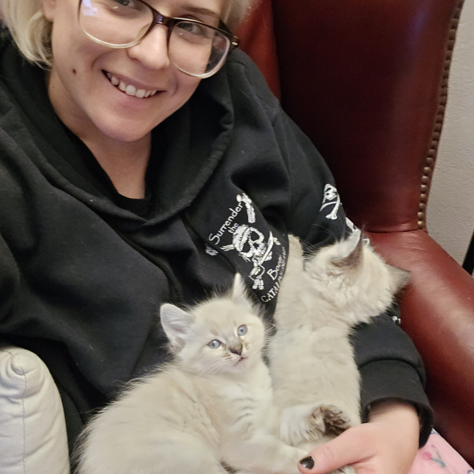Soft  Skilled- Sensitive Cats Welcome