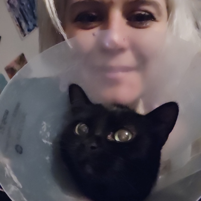 Soft  Skilled- Sensitive Cats Welcome