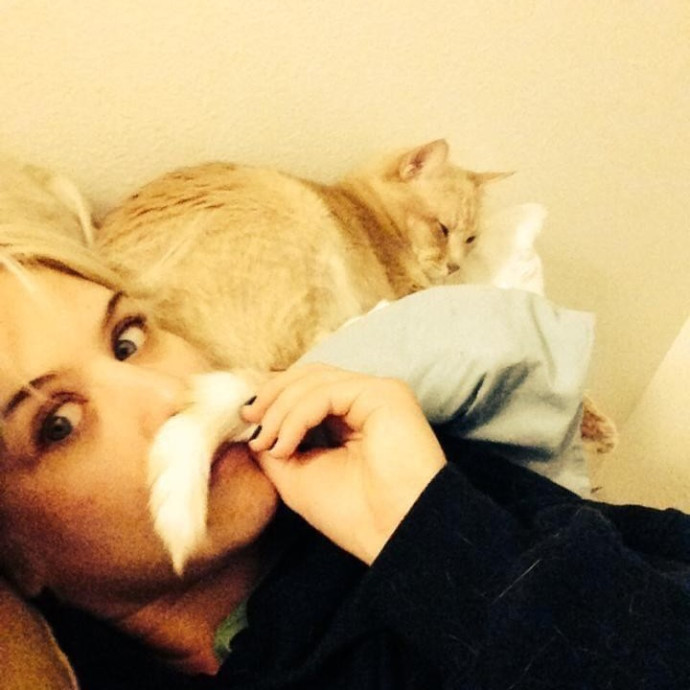 Soft  Skilled- Sensitive Cats Welcome