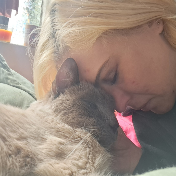 Soft  Skilled- Sensitive Cats Welcome
