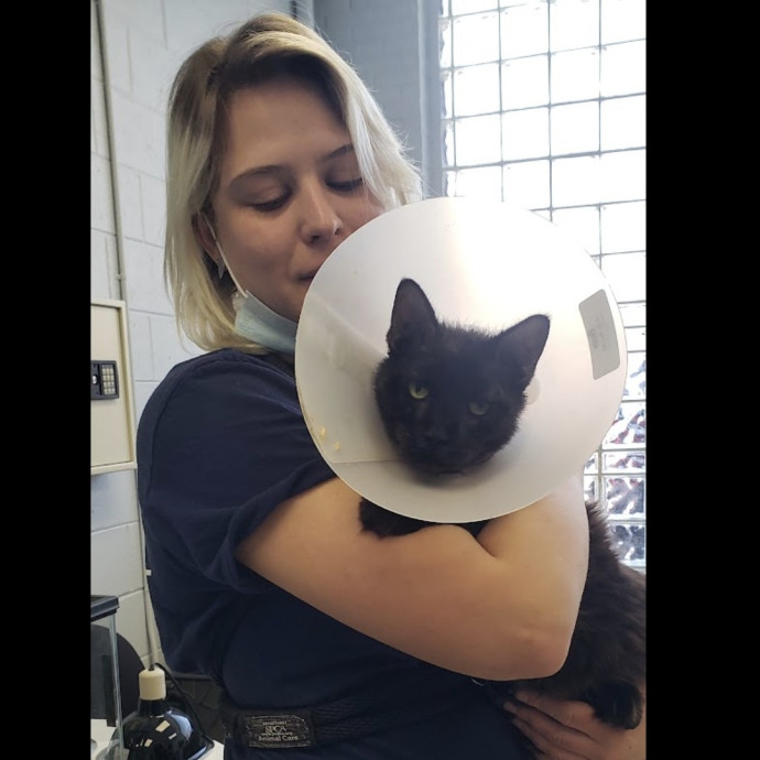Soft  Skilled- Sensitive Cats Welcome