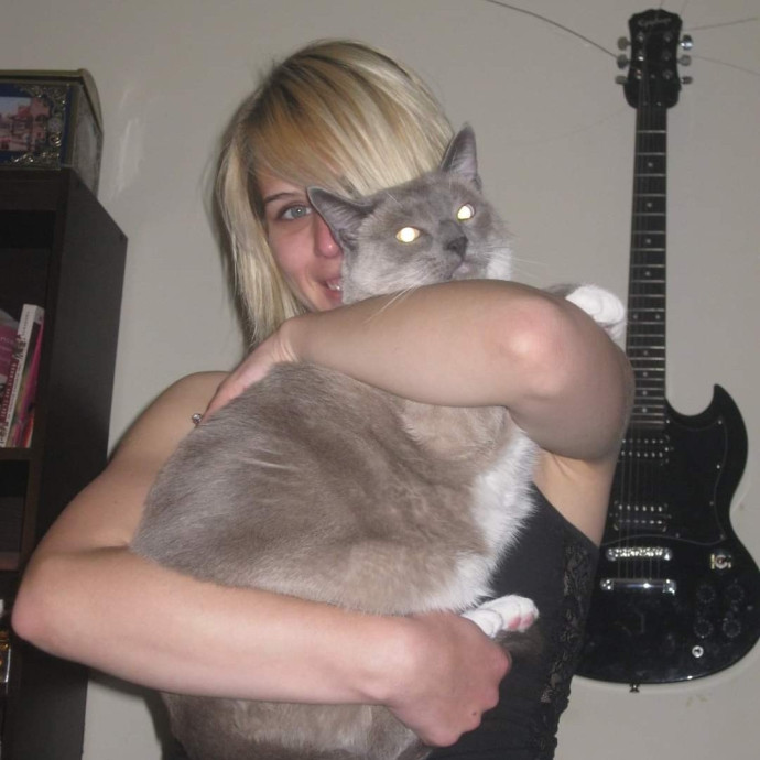 Soft  Skilled- Sensitive Cats Welcome