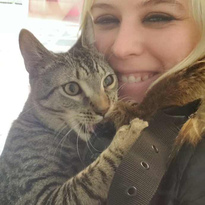 Soft  Skilled- Sensitive Cats Welcome