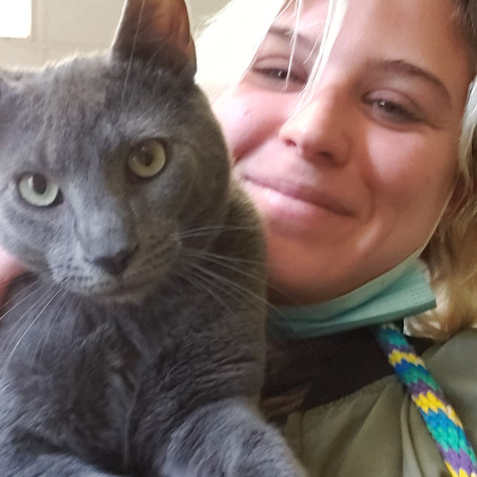 Soft  Skilled- Sensitive Cats Welcome