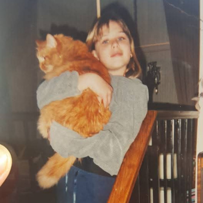 Soft  Skilled- Sensitive Cats Welcome photo 3