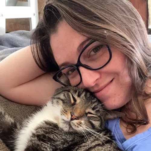 Meghan's Cattery photo 3