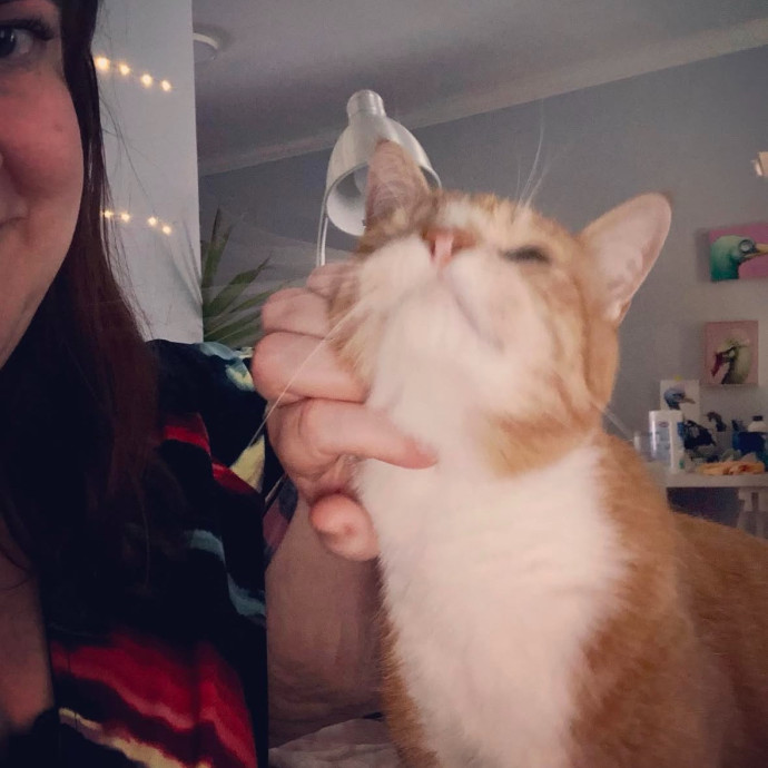 Houston Happy Cat Sitter